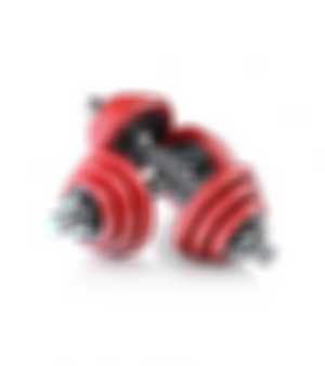 Pair of Dumbbells