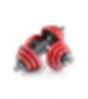 Pair of Dumbbells